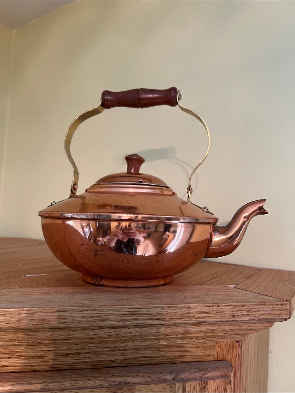 Vintage Copper Tea Kettle